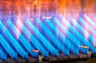 Blackawton gas fired boilers